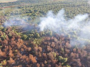 VIDEO Incendiu Tulcea/Elicopterul MAI a aruncat peste 50 de tone de apă asupra focarelor