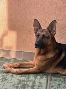 Deputatul Andrei Baciu dezvăluie cum și-a petrecut duminica: „Voi cum vă petreceți duminica?”