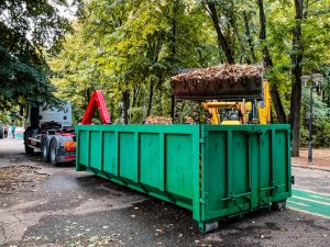 Primarul Stelian Bujduveanu pornește operațiunea de curățenie în Parcul Herăstrău, după asigurarea pazei în toate parcurile orașului