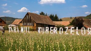 Festivalul Tuberozelor se va desfășura la Hoghilag în zilele de 9 și 10 august 2025, ocazie cu care călătorii sunt așteptați să participe la eveniment.