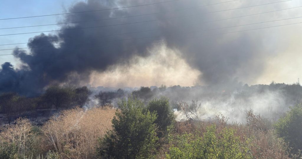 Incendiu de vegetație într-o comună din Ilfov. ISU: „Există pericolul de propagare la case. Se evacuează persoanele din zona afectată”