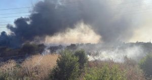 Incendiu de vegetație în Ilfov, se evacuează localnicii.