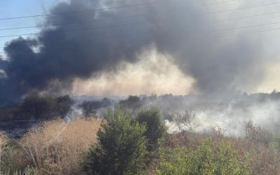 Incendiu de vegetație într-o comună din Ilfov. ISU: „Există pericolul de propagare la case. Se evacuează persoanele din zona afectată”