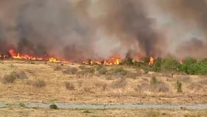 Sute de hectare incendiate, locuitori evacuează cu copiii, voluntari folosesc tractoare la Târgu Jiu