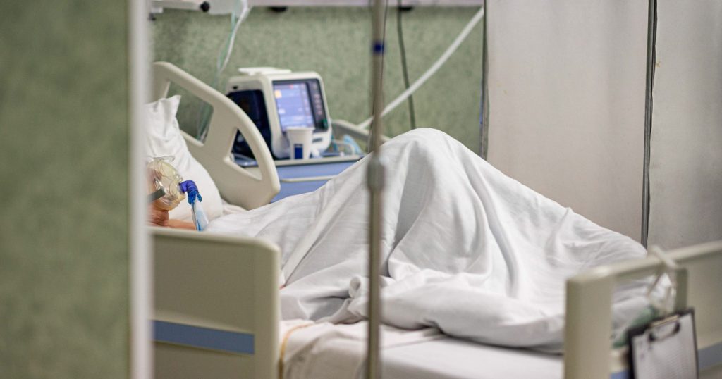 Două cazuri de infectare cu virusul West Nile în judeţul Timiş. Unul dintre pacienţi este în stare gravă la ATI