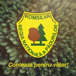 Jean Vişan, numit director temporar la Romsilva