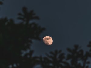 Luna Plină din 9 august, cunoscută sub numele de Luna Sturion, aduce schimbări profunde și o iubire intensă pentru două zodii specifice.