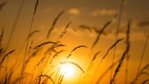 Previziuni astronomice pentru 22 august