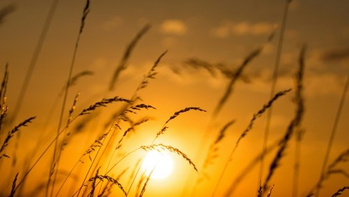 Horoscopul zilei de 22 august