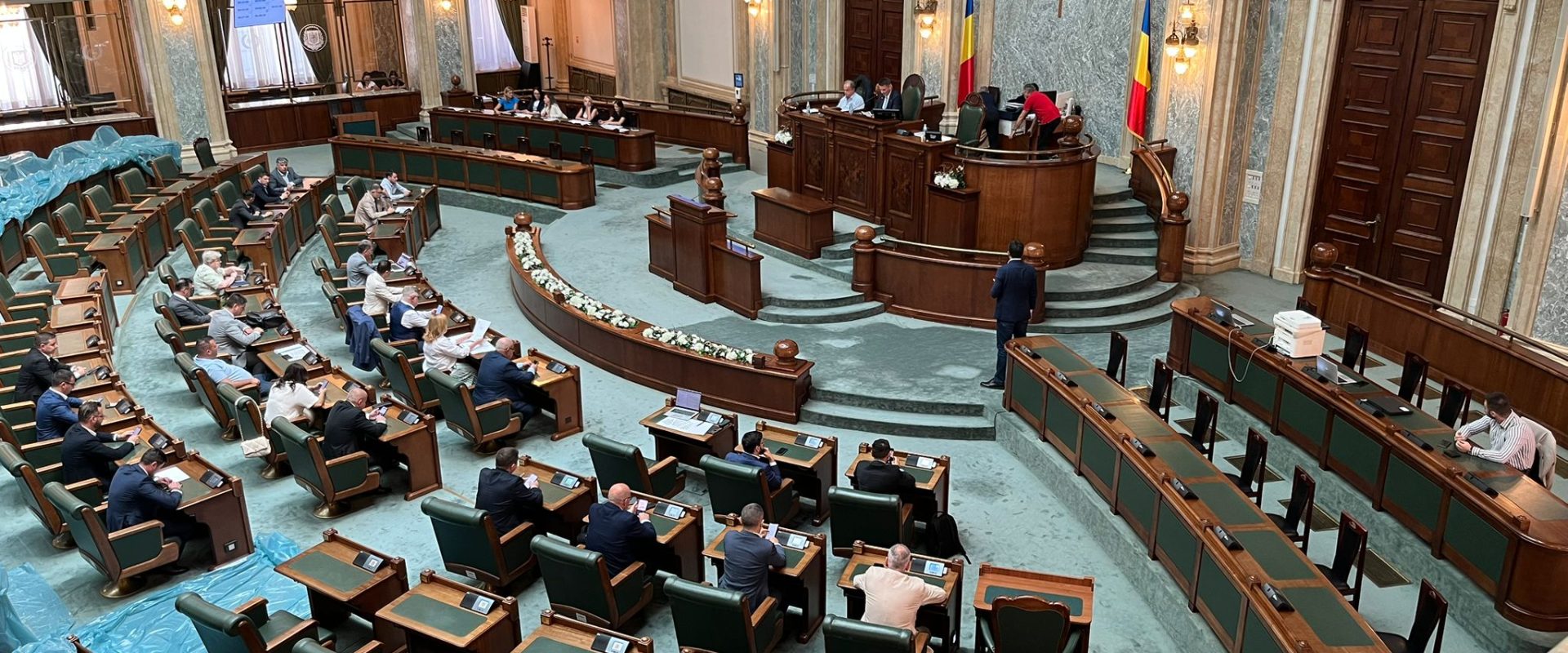 Ședință extraordinară a Senatului din data de 20 august 2025. Foto: HotNews / David Leonard Bularca