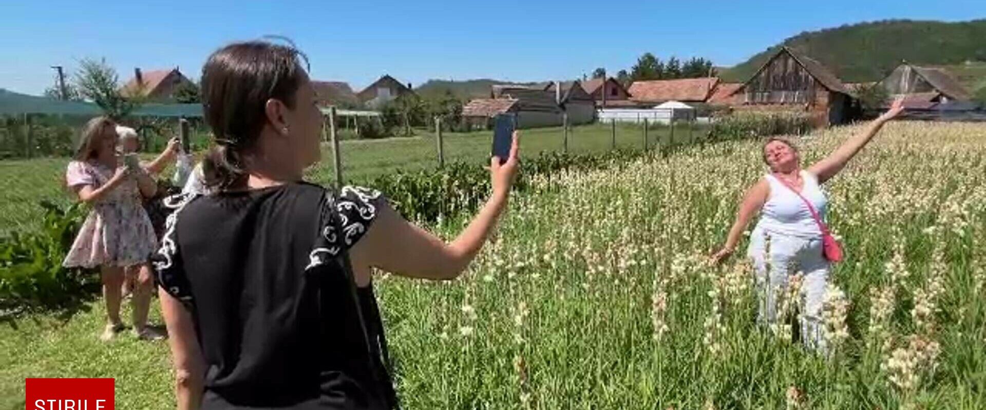 Sărbătoarea tuberozelor, atracția unei mici localități din Sibiu. S-au vândut 100.000 de flori într-o singură zi