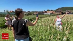 Sibiu: O mică localitate atrage atenția prin Sărbătoarea tuberozelor, cu 100.000 de flori vândute într-o singură zi.