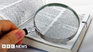 Skibidi și tradwife, noi cuvinte în dicționarul Cambridge