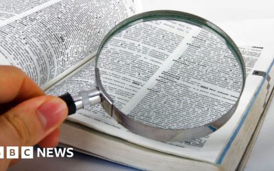 Skibidi and tradwife among words added to Cambridge Dictionary