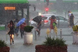 Vijelii puternice în șapte județe