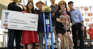 Petunia, un bulldog francez fără păr, a câștigat titlul de „cel mai urât câine din lume” și a primit un premiu în valoare de 5.000 de dolari.