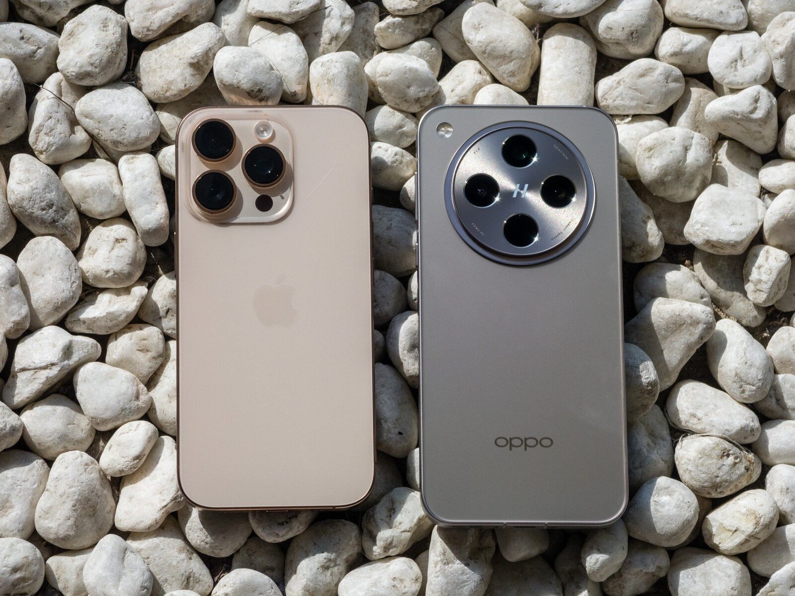 Apple acționează în instanță Oppo pentru încălcarea secretelor comerciale privind Apple Watch și cipuri.