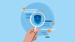 Mecanismele și erorile programelor de identificare a vulnerabilităților