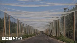 Centura de apărare a Donbasului contează enorm pentru defensiva Ucrainei împotriva Rusiei