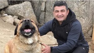 Un entrepreneur român și-a pierdut viața în încercarea de a salva un om și douăzeci de cai lângă Madrid