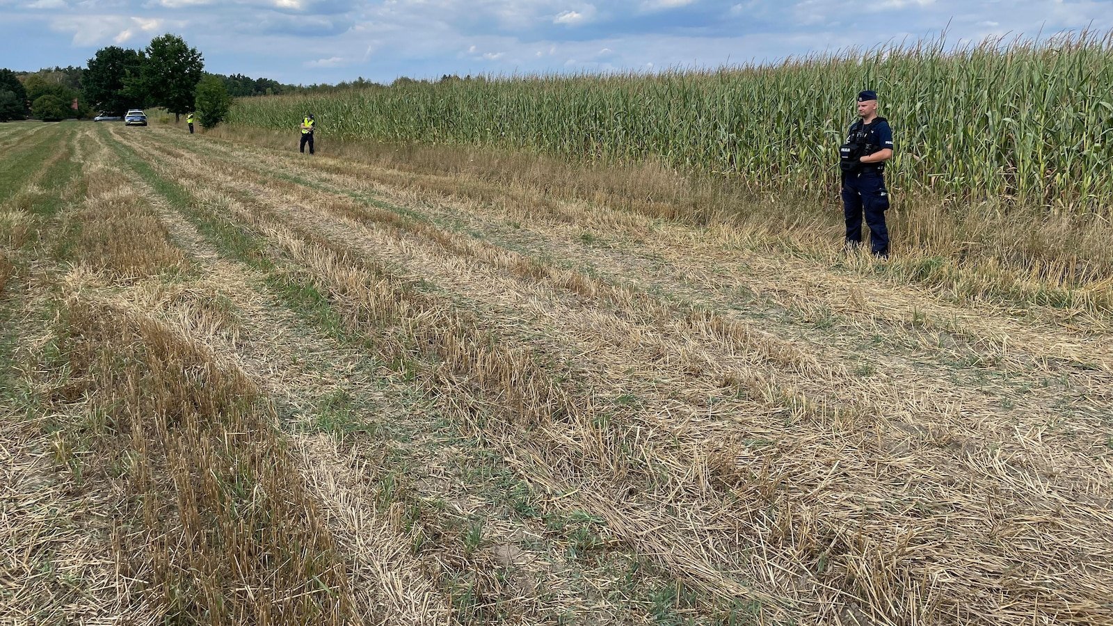 Polonia condamnă crash-ul dronăi rusești ca o provocare