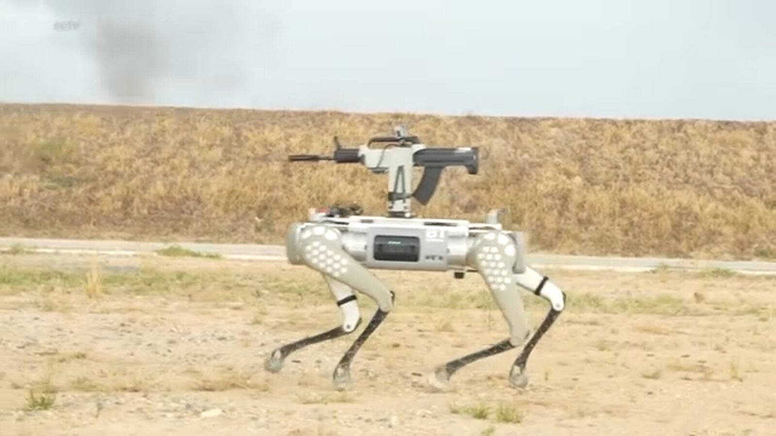 Antrenarea câinilor roboți s-a realizat în Rusia, în cadrul exercițiului trilateral China-Rusia-Mongolia.