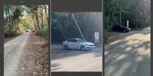 Greenfield deschide unilateral traficul auto în Pădurea Băneasa