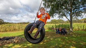 Cele mai tari 10 festivaluri de parcurs în anul acesta