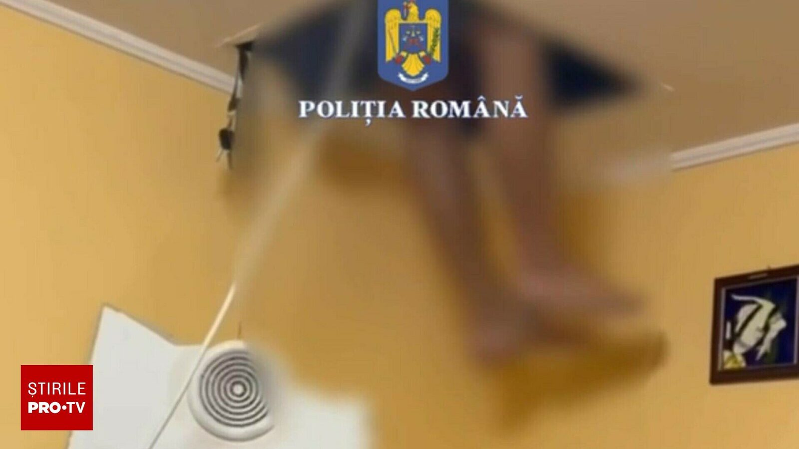 Bărbat urmărit de poliție se ascunde în tavan