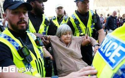 Arrests at rally against Palestine Action ban rise to 890
