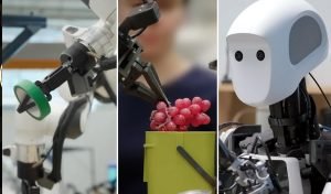 Două modele twin de la DeepMind colaborează și caută online sarcini complexe