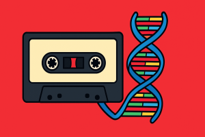 Casetele audio sunt din nou la modă în era digitală