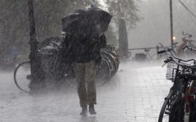 HARTĂ Noi alerte meteo: cod galben de furtuni și vânt puternic. Care sunt zonele vizate și cum va fi vremea în Capitală