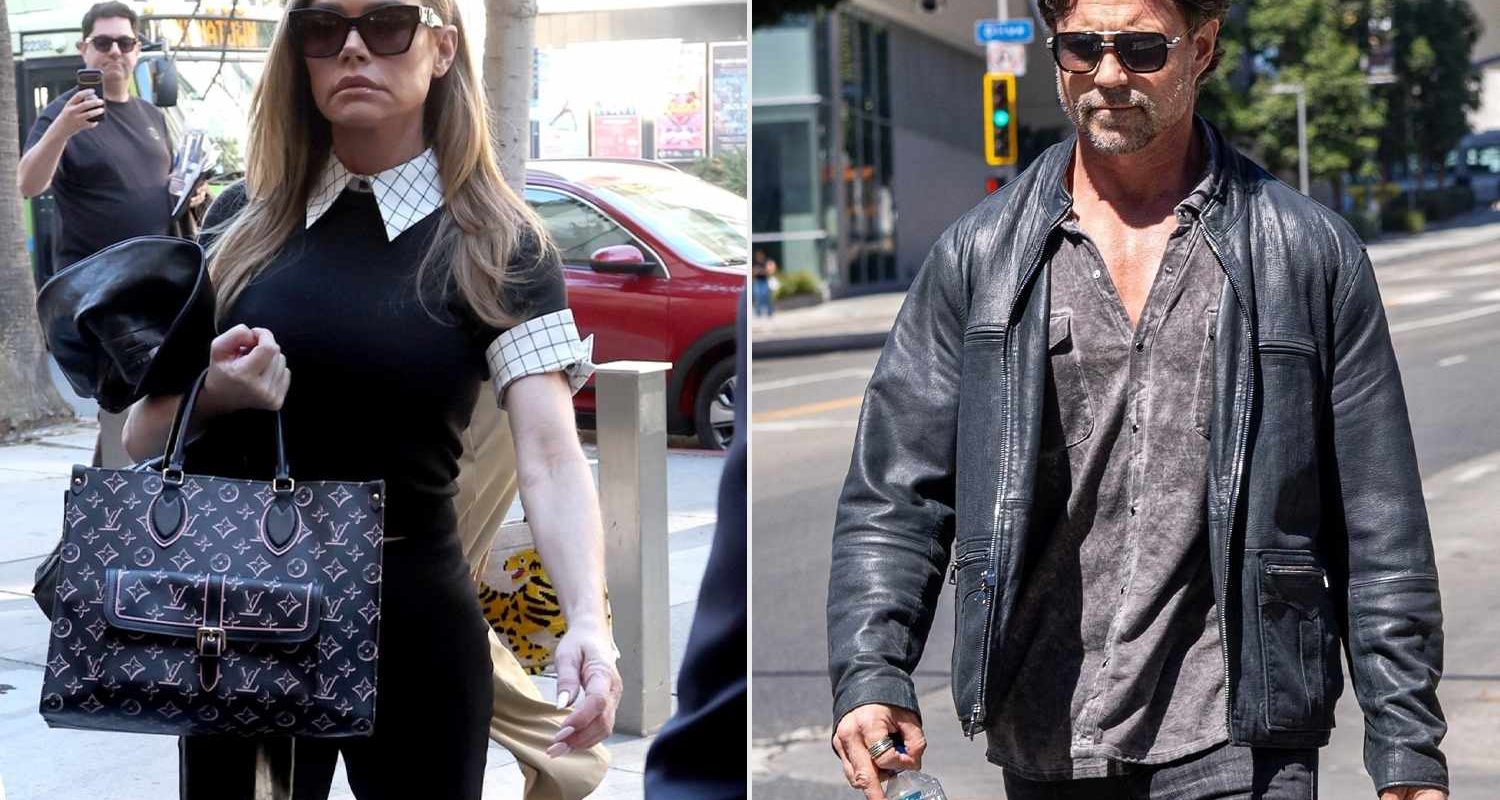 Denise Richards Granted Access to Home, Aaron Phypers Ordered to Stay 100 Yards Away