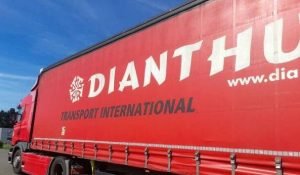 Noaptea trecută am visat lucruri ciudate