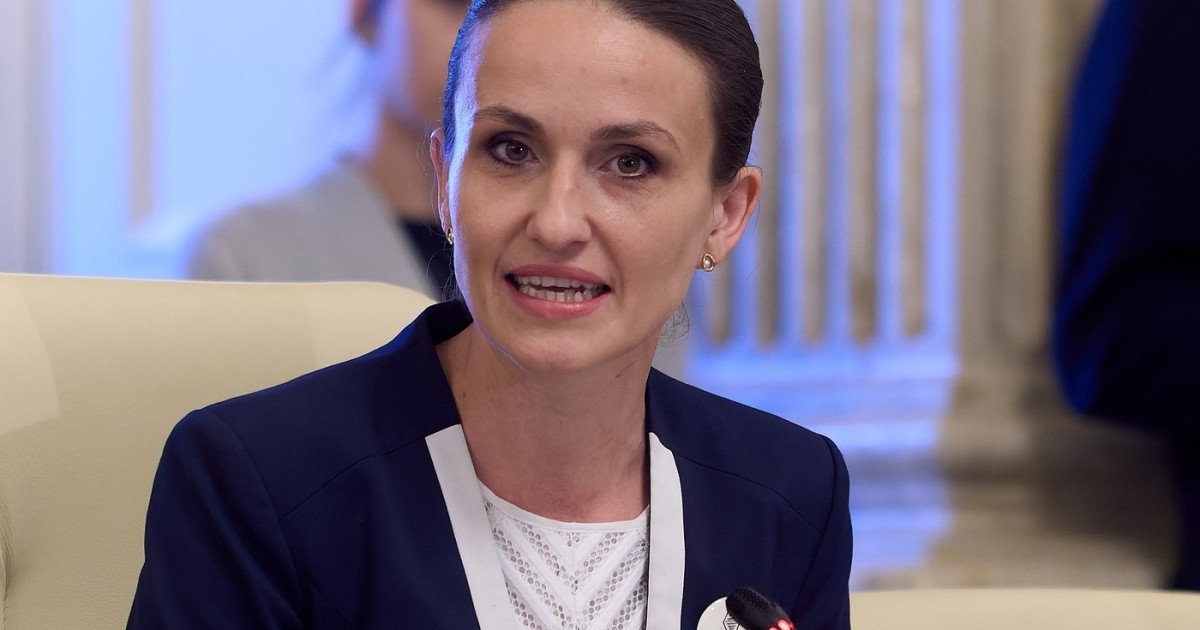 Oana Țoiu, după ce Rusia a ironizat autoritățile române: „Rușii nu au nevoie de noi să le spunem că drona lor este a lor”