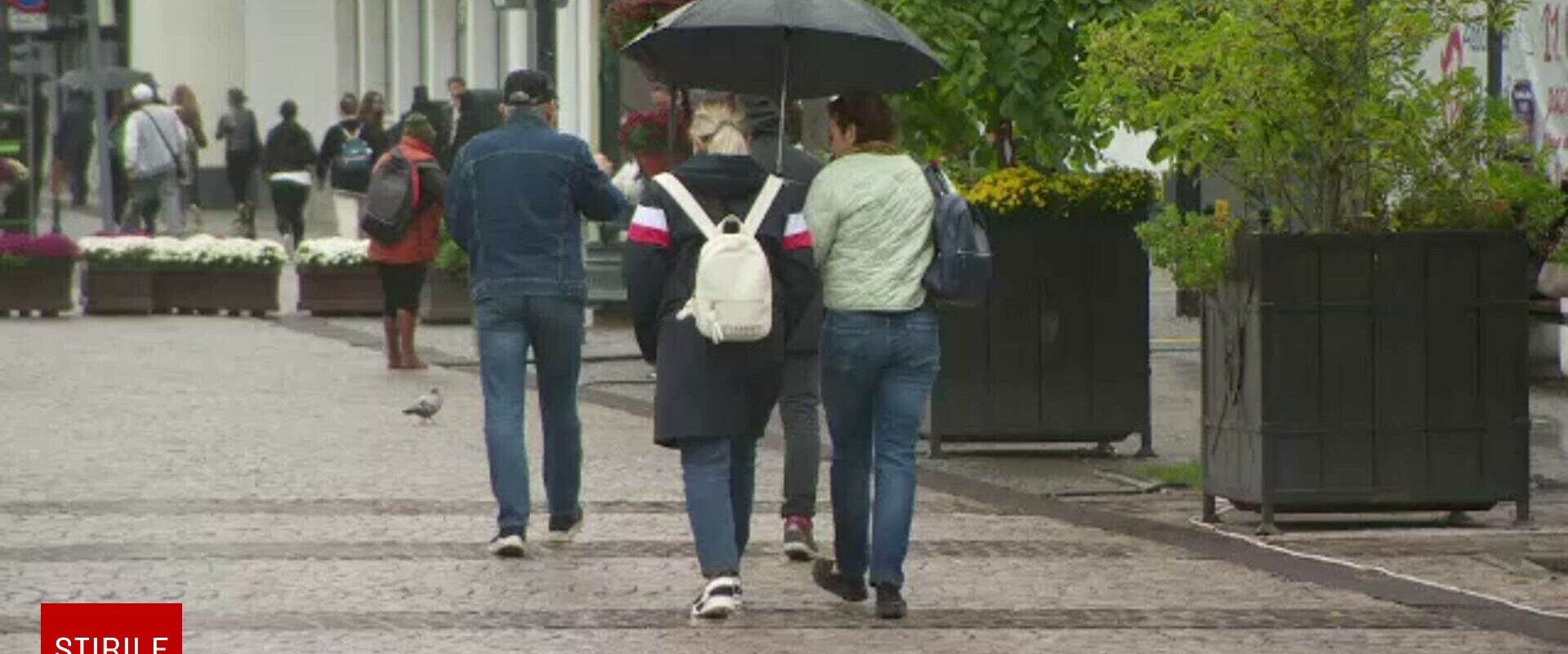 Vreme rece și ploi abundente în aproape toată țara, la început de octombrie. Prognoza meteo pentru patru săptămâni