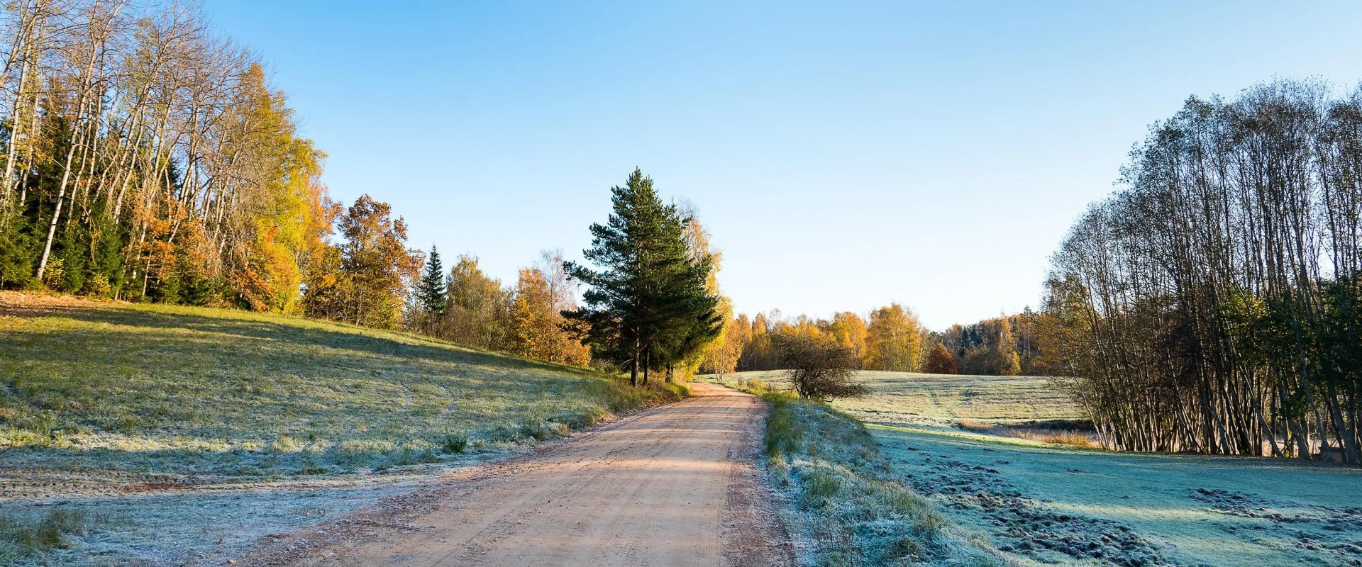 Vremea continuă să se răcească și va ploua în toată țara. De când sunt prognozate, din nou, temperaturi de până la 22 de grade