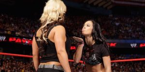 Meilele lui AJ Lee din WWE