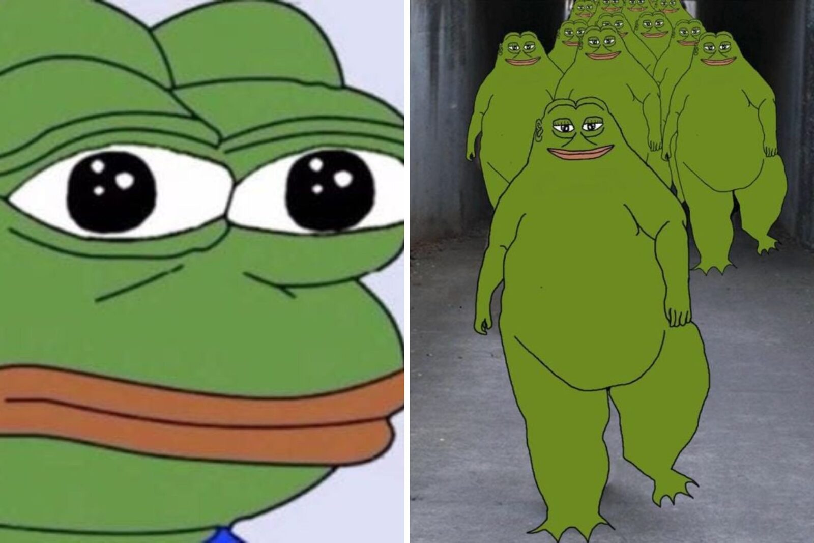 Mișcarea de extremă dreapta a lui Nick Fuentes