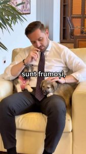 Primarul Stelian Bujduveanu marchează Ziua Internațională a Animalelor și atrage atenția asupra situației adăposturilor ASPA din București.