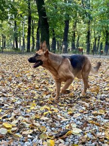 Deputatul Andrei Baciu solicită pe Facebook informații despre planurile de weekend ale utilizatorilor