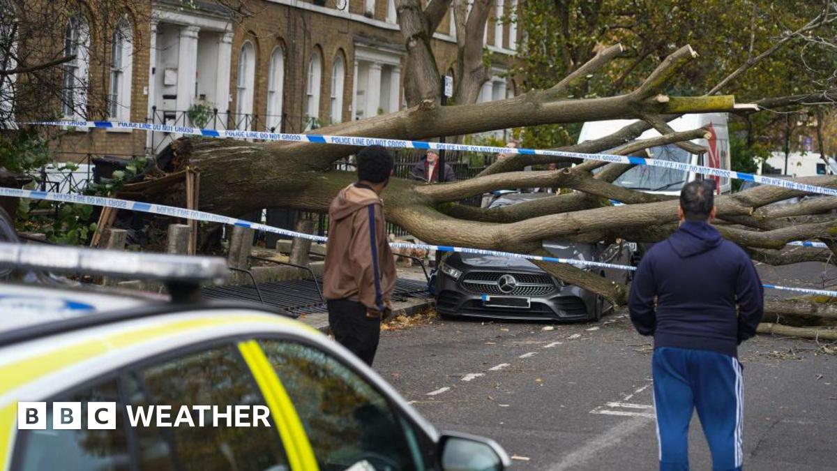 Matt Taylor and Newsround's Ricky Boleto sit on a bench with pupils from St John's Marlborough