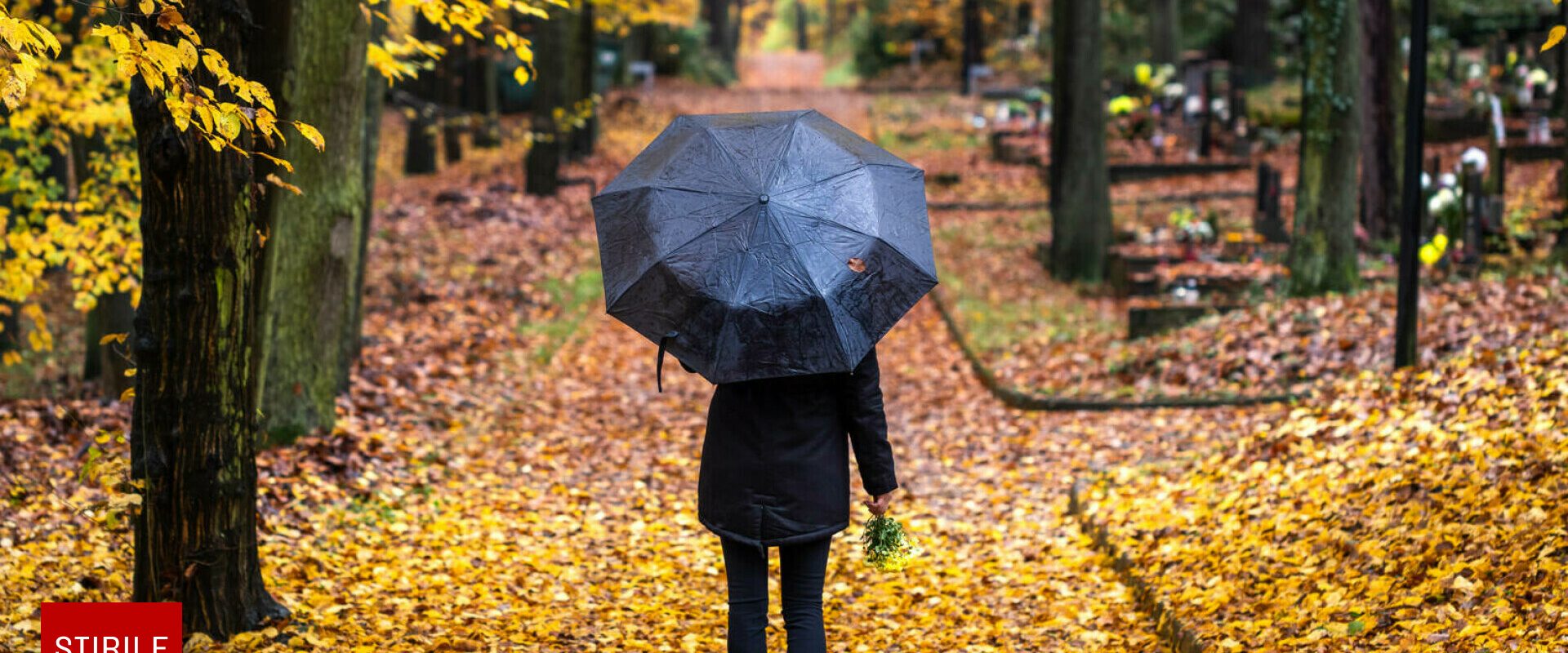 Când se încălzește în toată România. Meteorologii au anunțat cum va fi vremea în noiembrie 2025