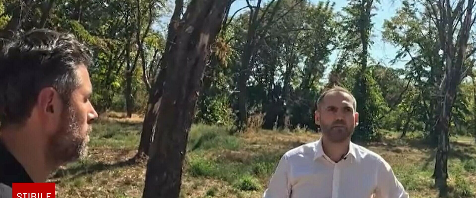 Bucureștiul își pierde verdele. Arborii mor sub nepăsarea autorităților, iar parcurile riscă să dispară. Ce scuze au găsit