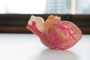 Vital3D reinventează modelele tumorale bioprintate