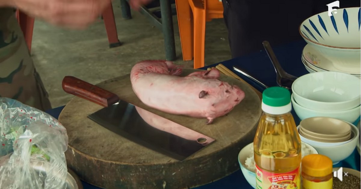 Luptă pentru imunitate, în cea mai spectaculoasă misiune din actualul sezon Asia Express. Cine are Jokerul