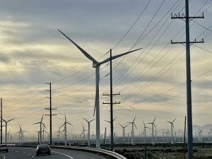 Încep lucrările unui parc eolian ce va reduce CO2 echivalent cu 7,5 milioane de copaci; județul lider în sector.