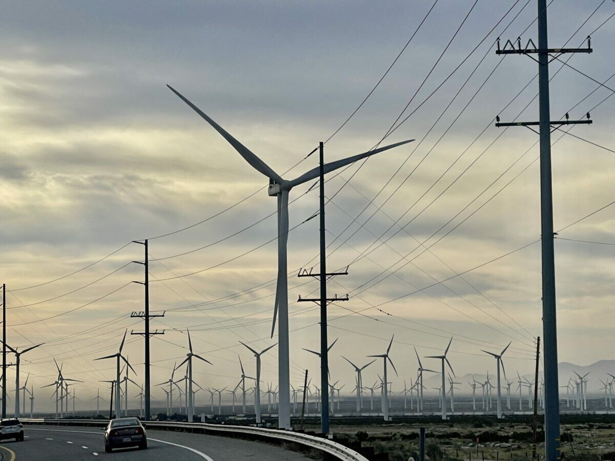 Încep lucrările unui parc eolian ce va reduce CO2 echivalent cu 7,5 milioane de copaci; județul lider în sector.
