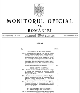 <p><strong>Anișoara Ulcelușe – desemnată președinte al AMEPIP; Nicolae‑Bogdan‑Codruț Stănescu și Oana‑Mihaela Petrescu – numiți vicepreședinți</strong></p>
